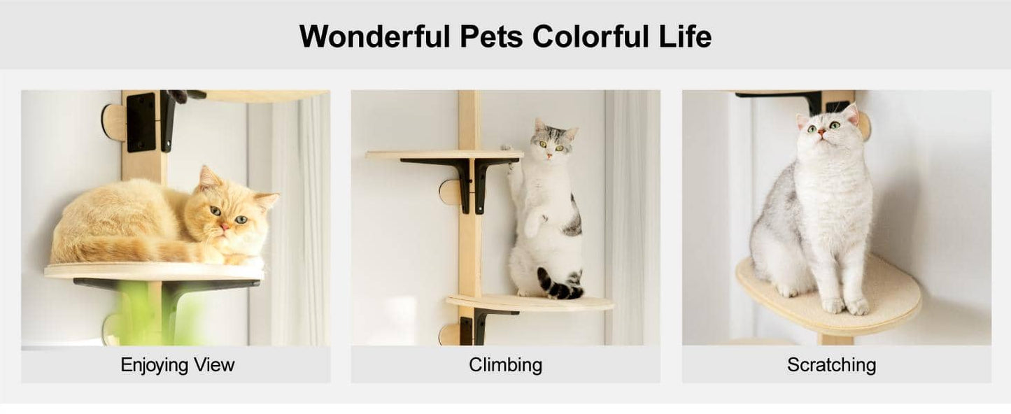 MewooFun 4-Levels Versatile Cat Climber