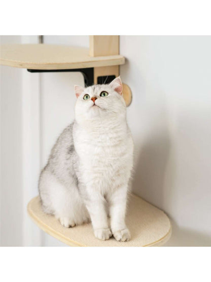 MewooFun 4-Levels Versatile  Cat Climber