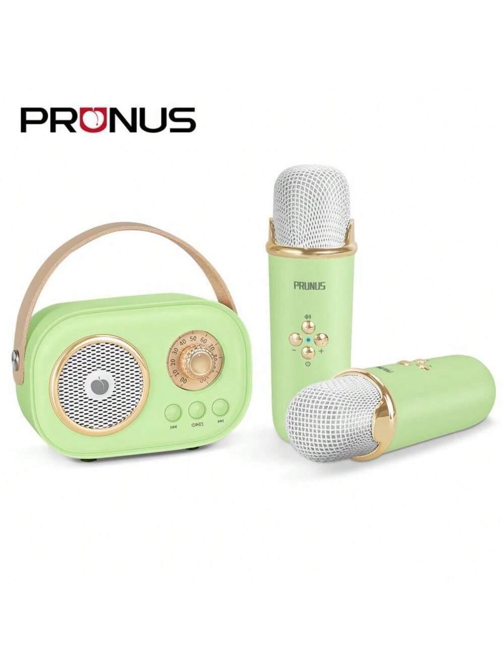 PRUNUS C20 Mini Karaoke