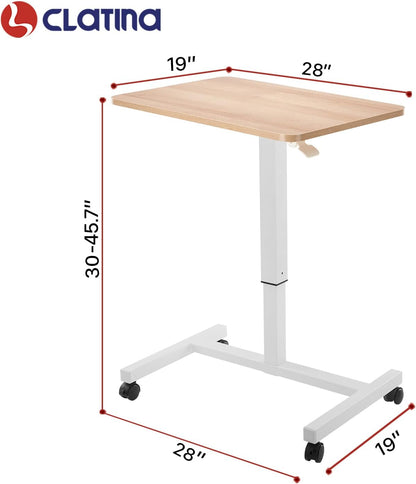 Mobile Laptop Standing Desk