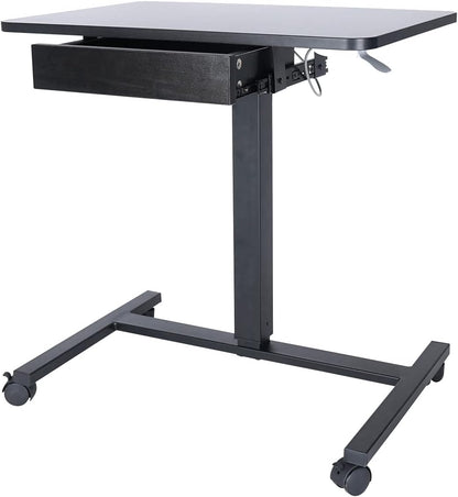 Mobile Laptop Standing Desk