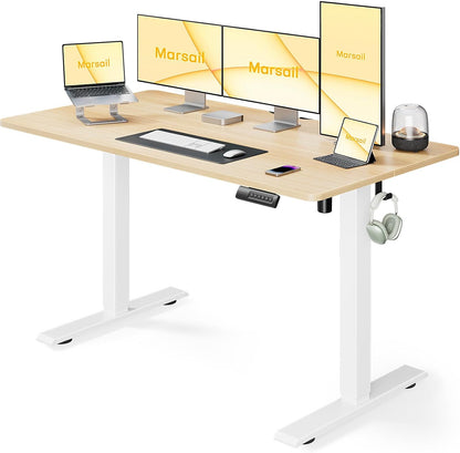 HUANUO ERGEAR Electric Adjustable Standing Desk