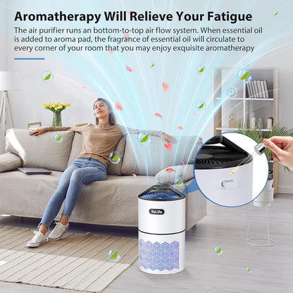 Air Purifiers