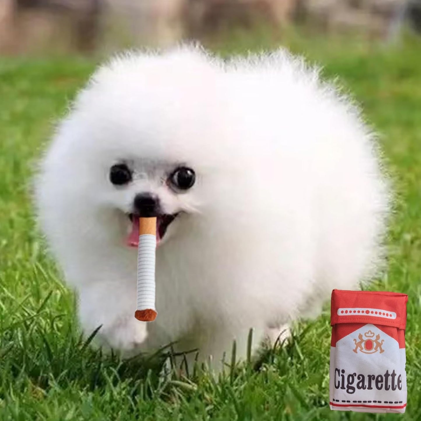 Interactive Cigarettes Dog Toy