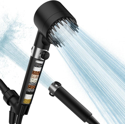 Filtered Shower Head with Handheld