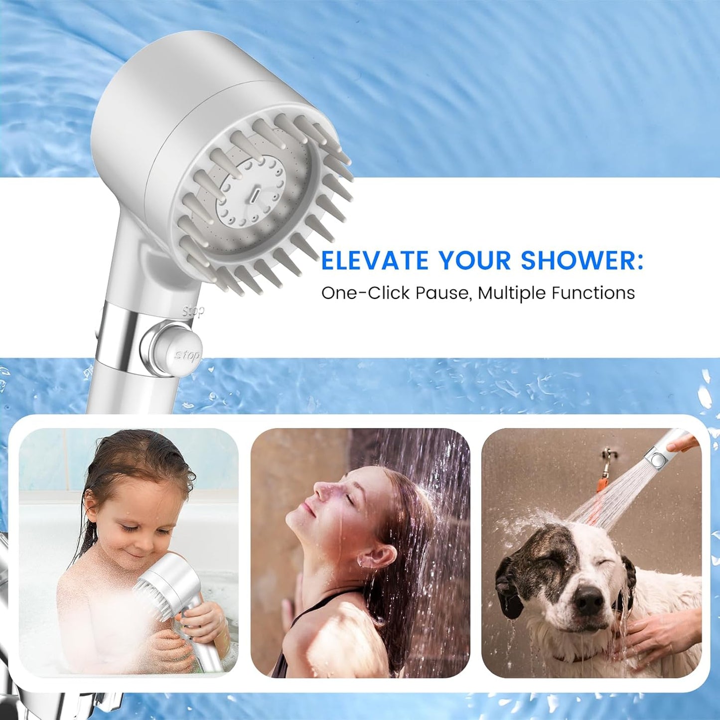 Filtered Shower Head with Handheld