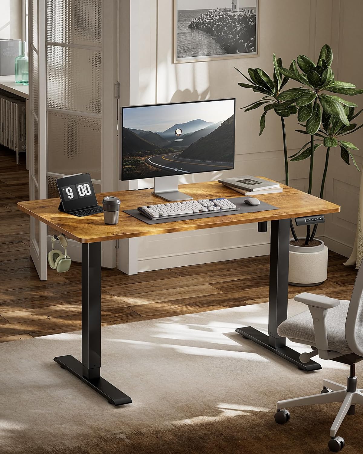 HUANUO ERGEAR Electric Adjustable Standing Desk