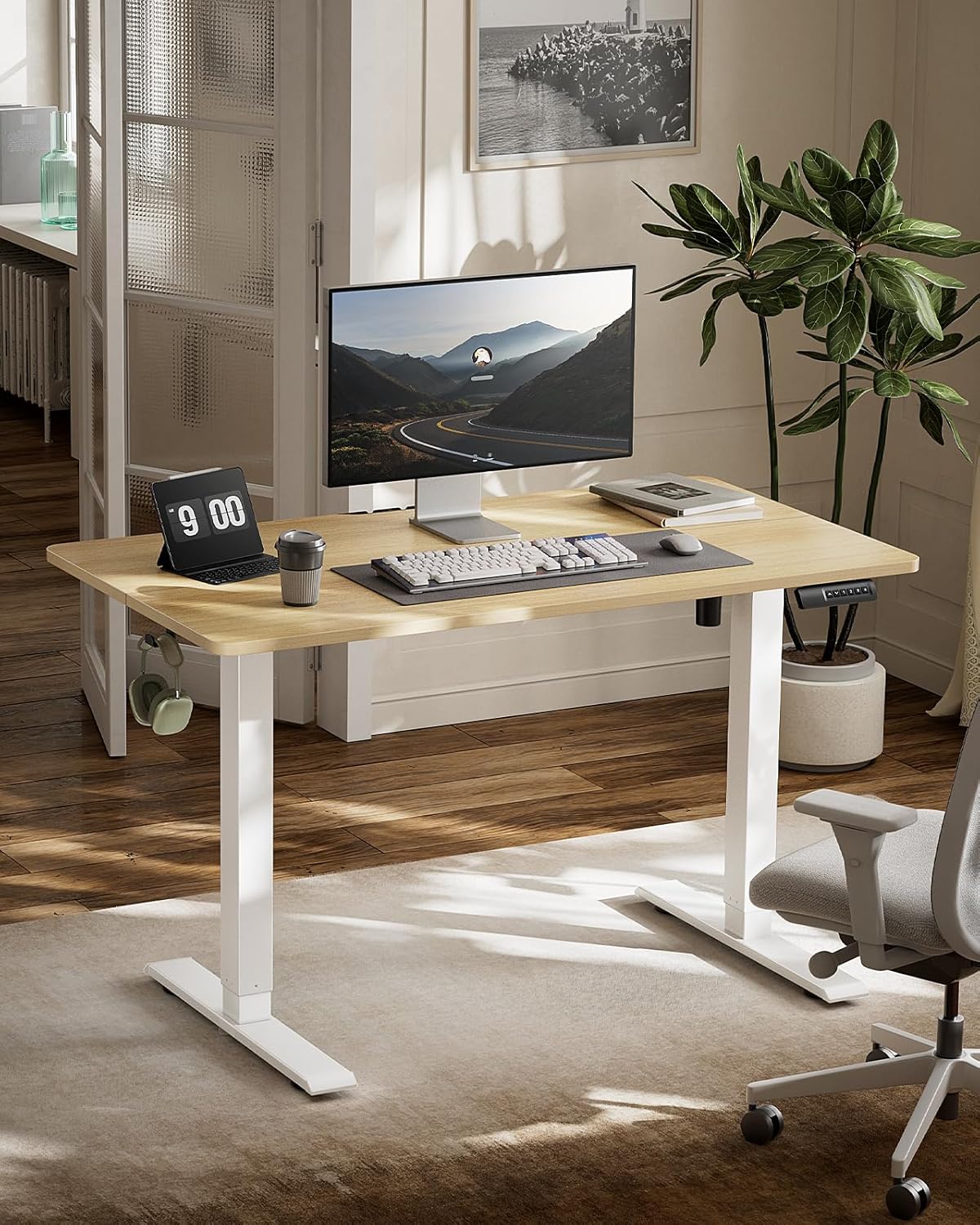 HUANUO ERGEAR Electric Adjustable Standing Desk