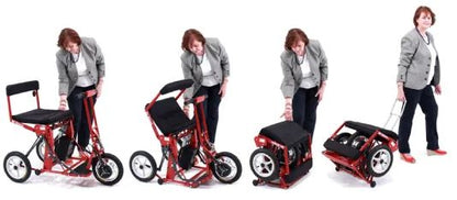 Foldable Scooter