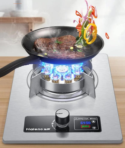 FierceFire Stainless Gas Stove