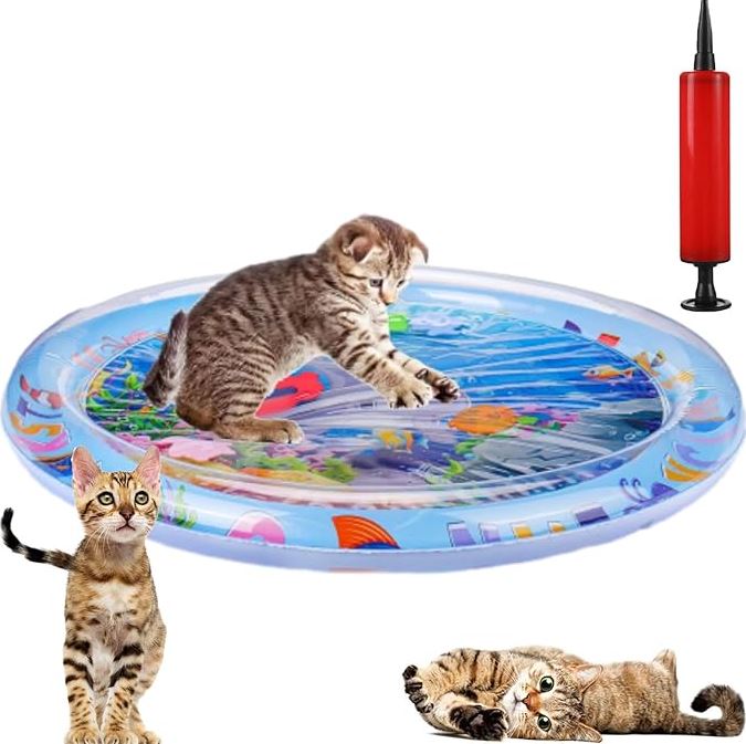 Pet Water Sensory Mat